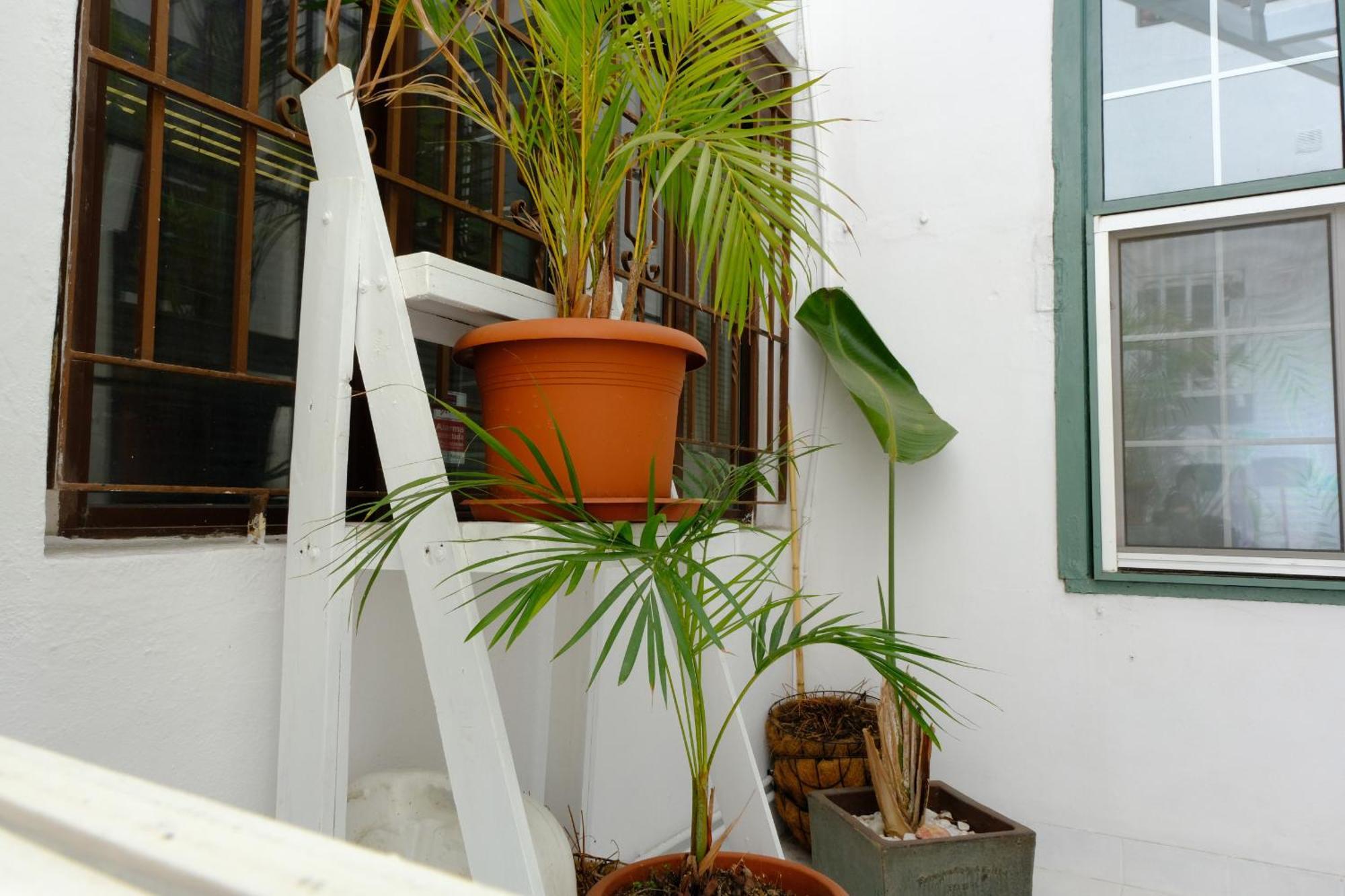 Rooftop Dreamhouse - 3Br With Seaviews سانتا كروث ذي لا بال المظهر الخارجي الصورة