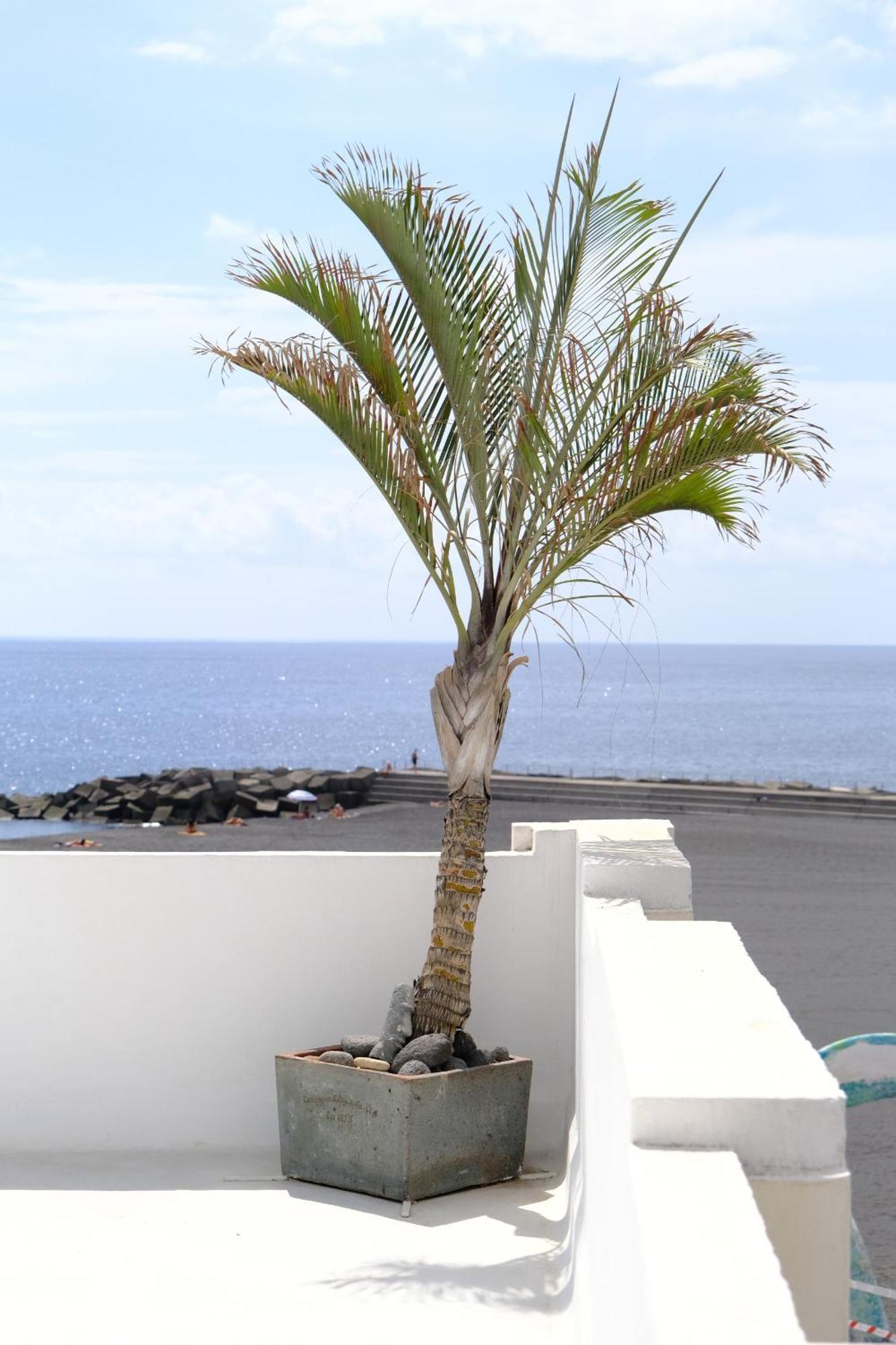Rooftop Dreamhouse - 3Br With Seaviews سانتا كروث ذي لا بال المظهر الخارجي الصورة